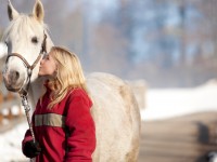 What Can We Do To Prevent Equine Colic?