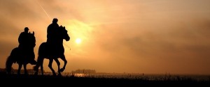 Join the Crusade Against Equine Colic