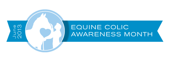 Equine Colic Awareness Month 2013 logo