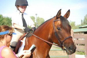 Sakura - Equine Colic Awareness Spokes-Horse Contest