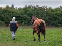 Crusade Against Equine Colic