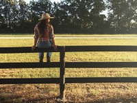 Horse Colic What To Do While You Wait for the Vet